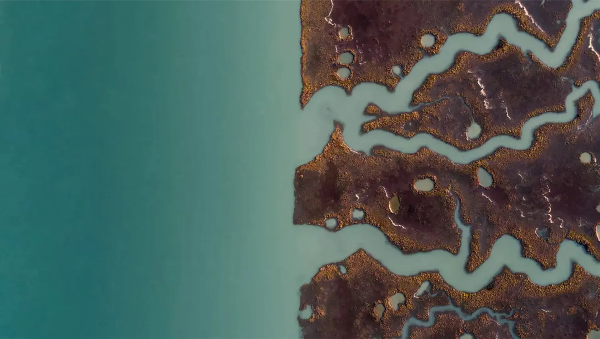 Water concept image