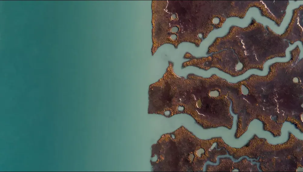 Water concept image